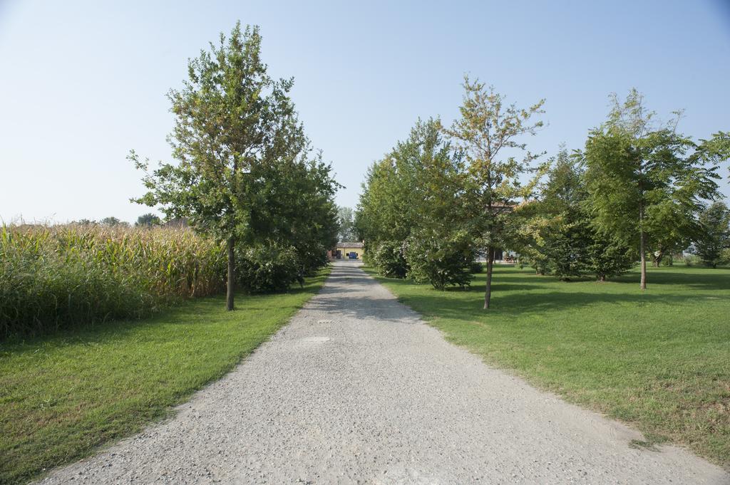 Agriturismo Corte Acconi Mantoue Extérieur photo